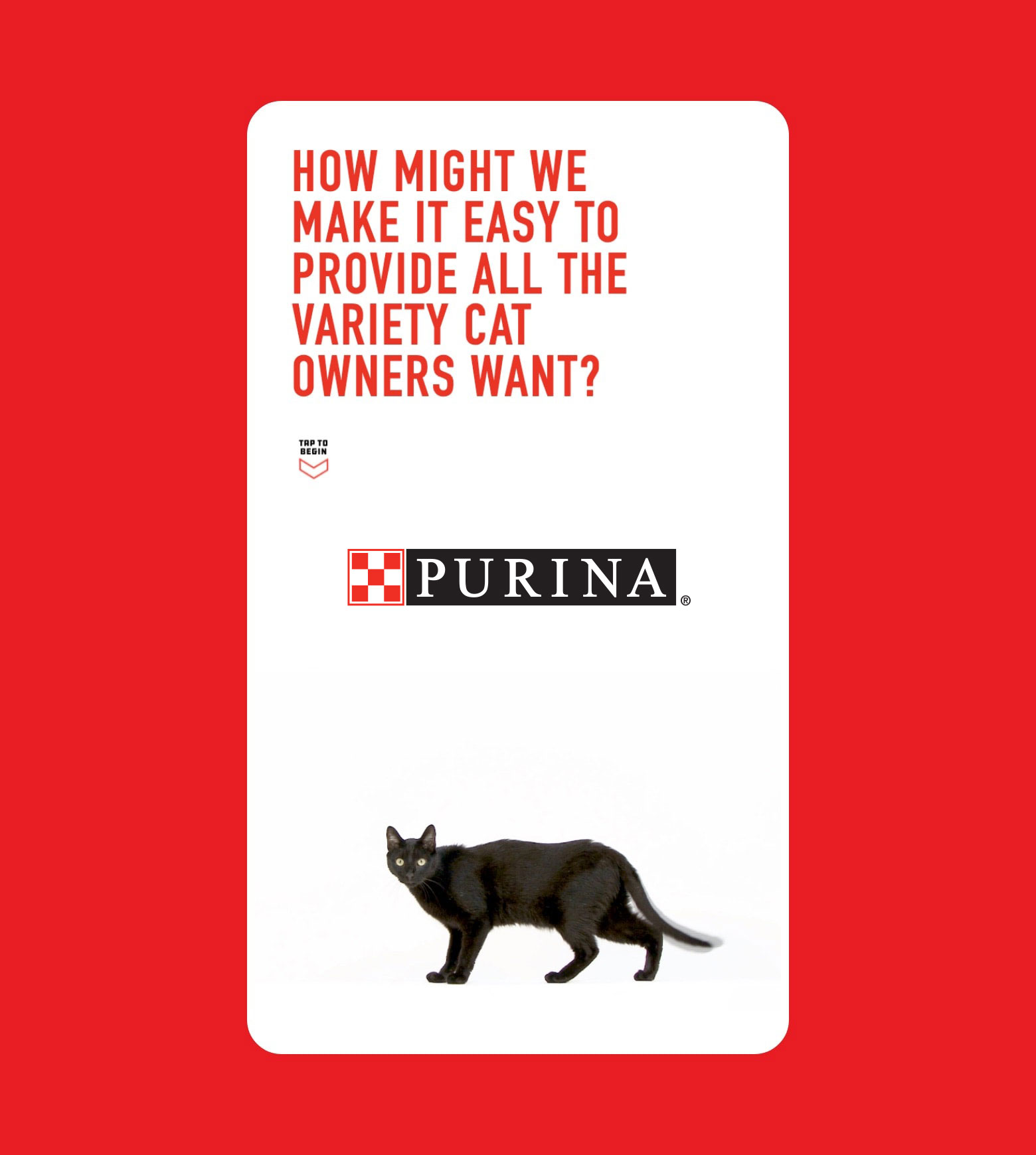 project Purina Touchscreen