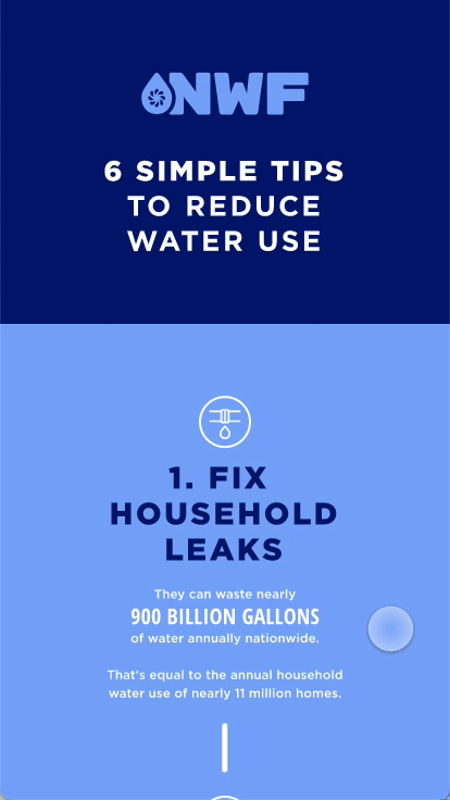 gif of the mobile Nalgene Water Fund website, scrolling through a page
