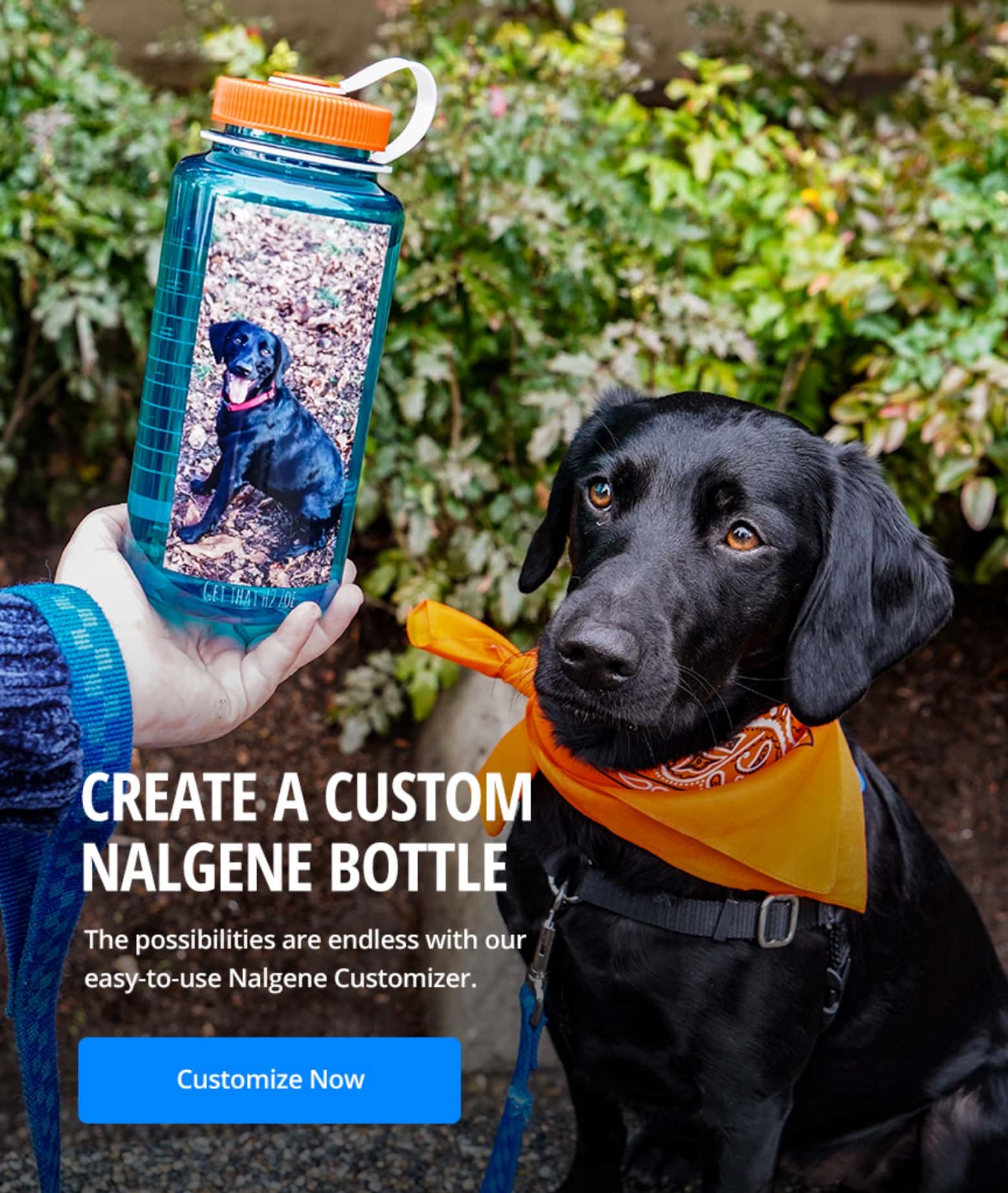 image of a black lab posing near a nalgene water bottle that has an image of that same dog on the bottle. Text reads "Create a custom nalgene bottle"